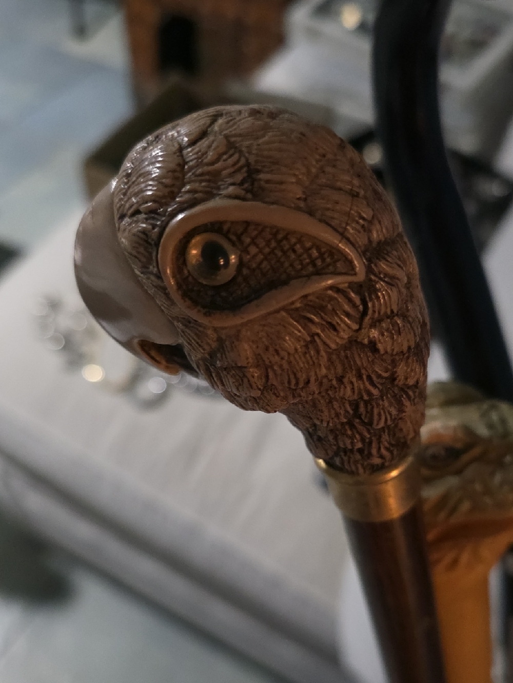 Hand-Carved Parrot Head Walking Cane with Brass Collar